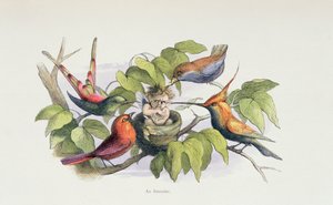 An Intruder, illustration from 